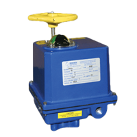 ER Series Electric Actuators